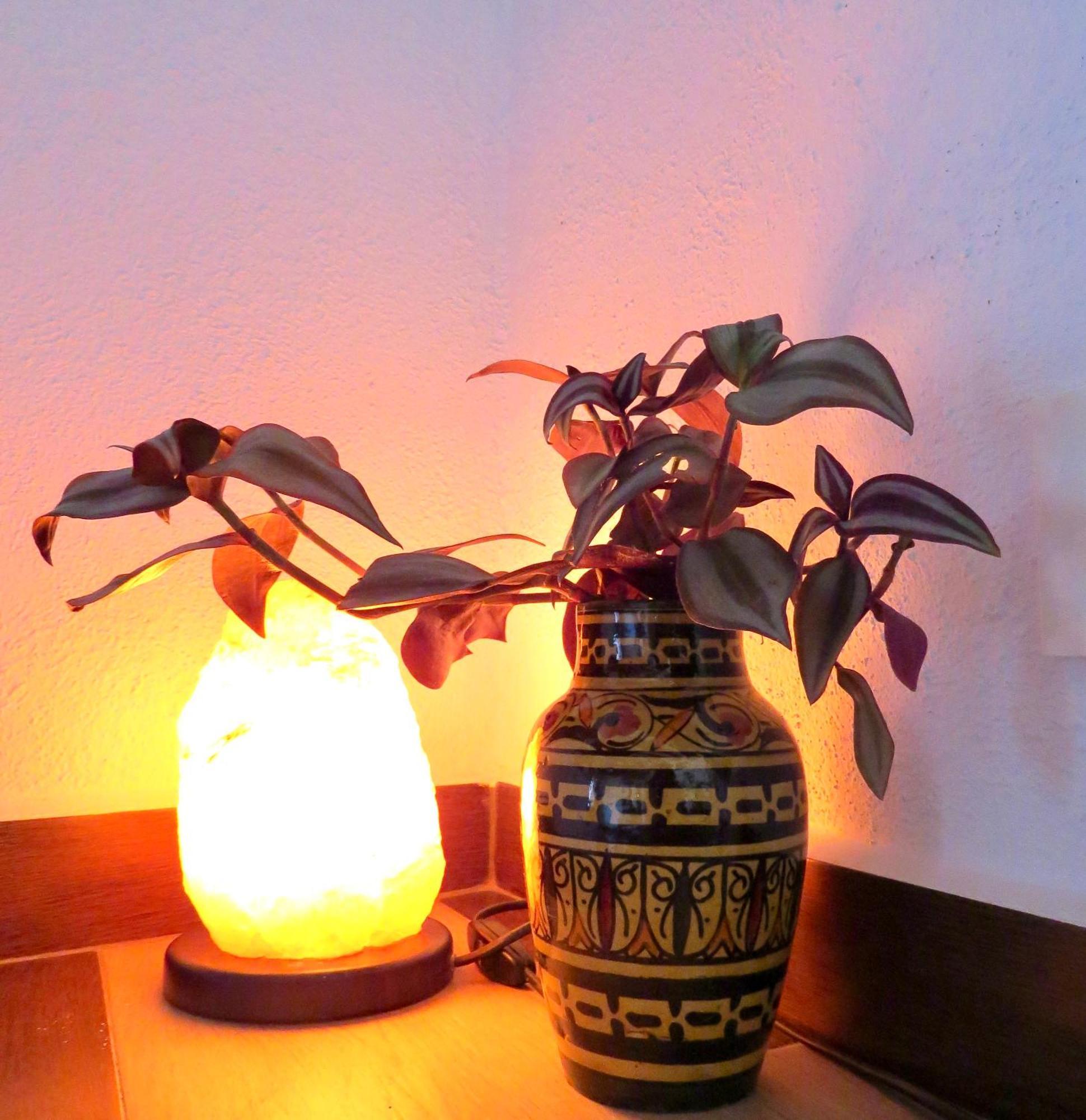 El Encanto 莫纳奇尔 外观 照片